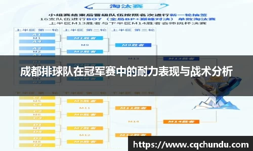 成都排球队在冠军赛中的耐力表现与战术分析