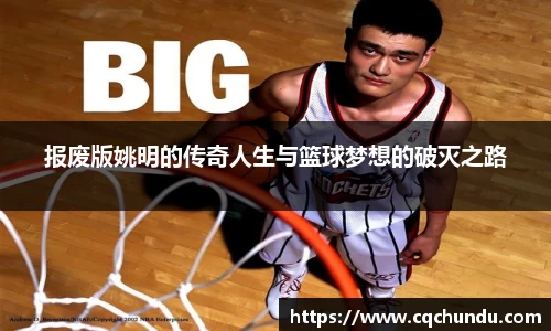报废版姚明的传奇人生与篮球梦想的破灭之路