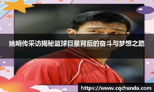 姚明传采访揭秘篮球巨星背后的奋斗与梦想之路